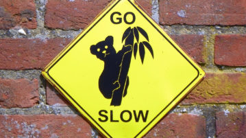 go slow nantygreens.com