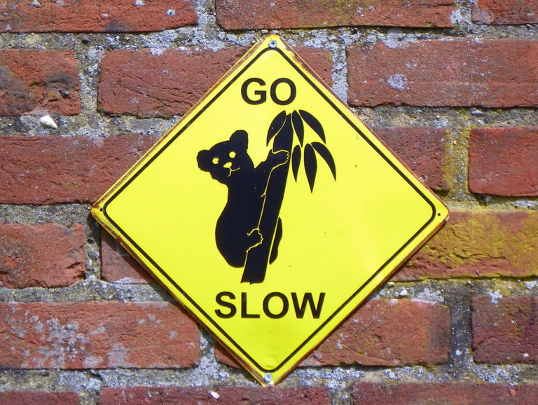 go slow nantygreens.com