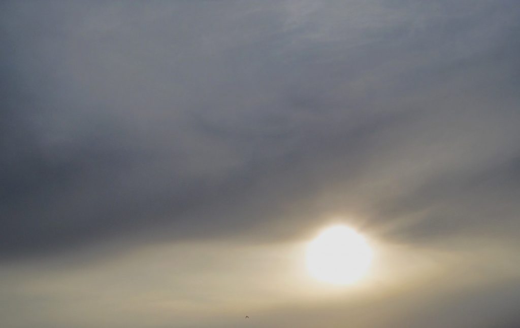 While-the-sun-was-grey