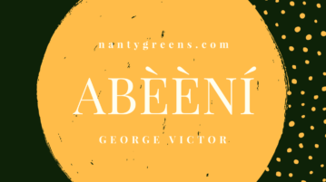 abeeni nantygreens