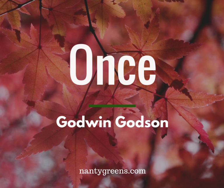 Once by Godwin Godson