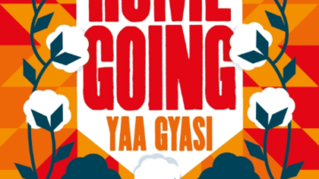 Homegoing Yaa Gyasi nantygreens