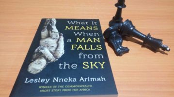 what it means when a man falls from the sky nneka Arimah