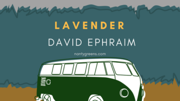 Lavender David Ephraim