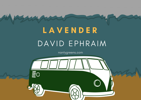 Lavender David Ephraim