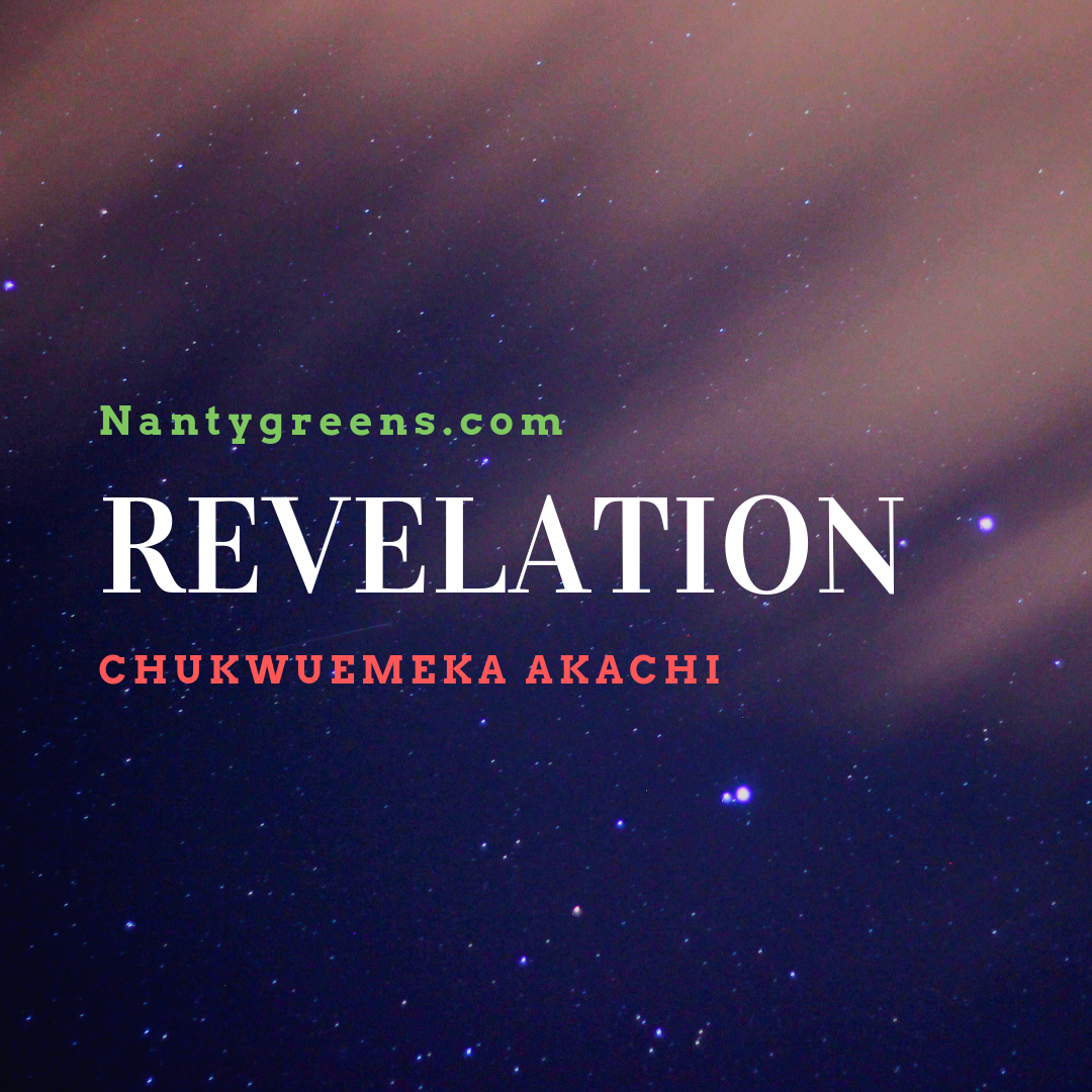 Revelation by Chukwuemeka Akachi published on Nantygreens.com