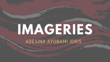 Imageries by adesina ayobami idris