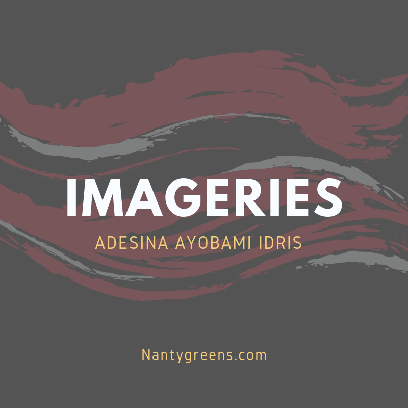 Imageries by adesina ayobami idris