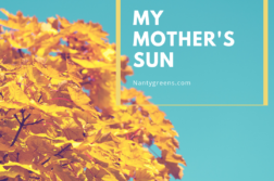 my mother's sun by tayo oladipo