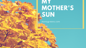 my mother's sun by tayo oladipo