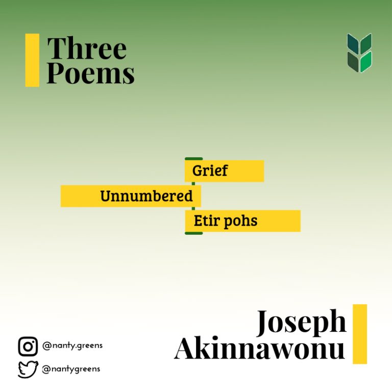 akinnawonu-joseph-img
