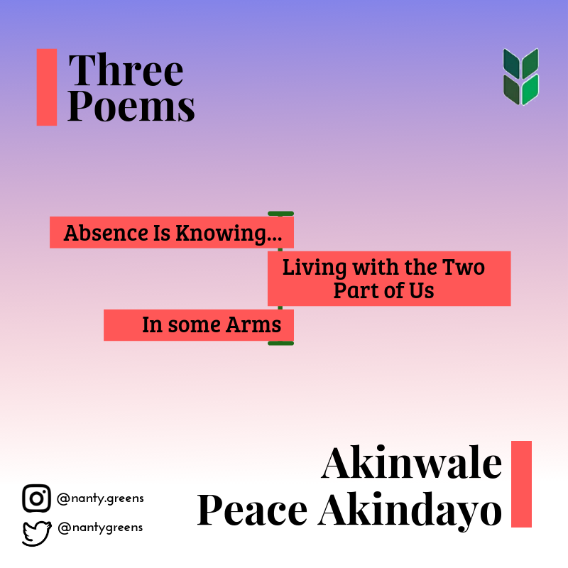 akinwale-peace-img
