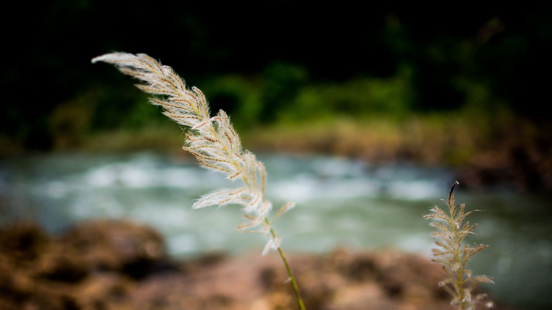 3 Poems | Ismail Bala