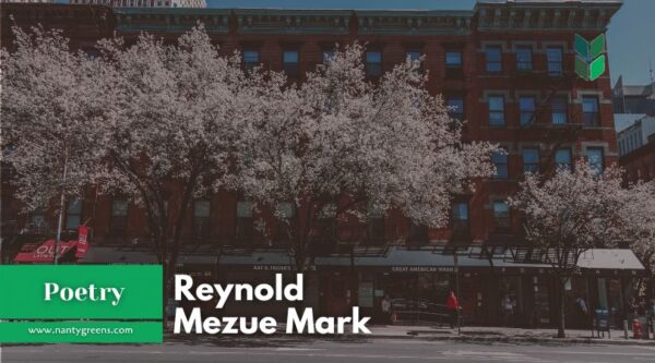 Finding Balance | Reynold Mezue Mark