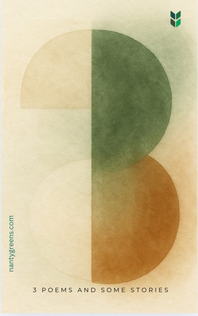 Nantygreens Vol 1. - 3 Poems and Some Stories cover